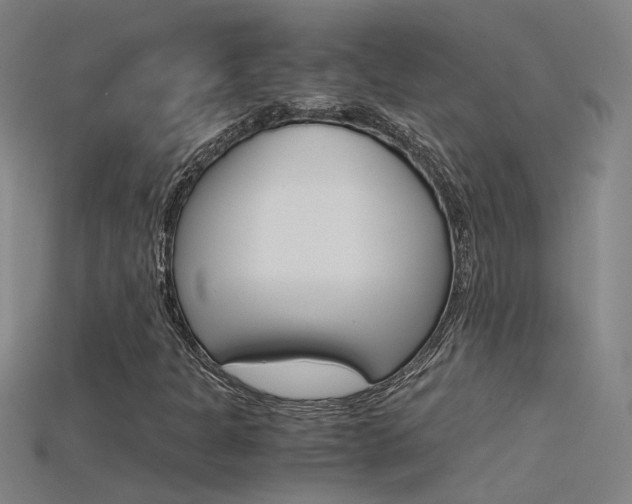 X0000115801301200911131014