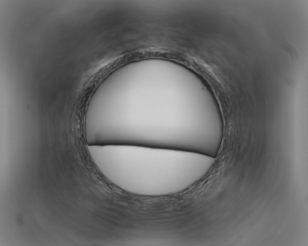 X0000115801303200911131014
