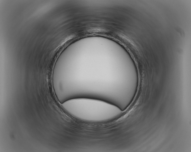 X0000115801305200911131014
