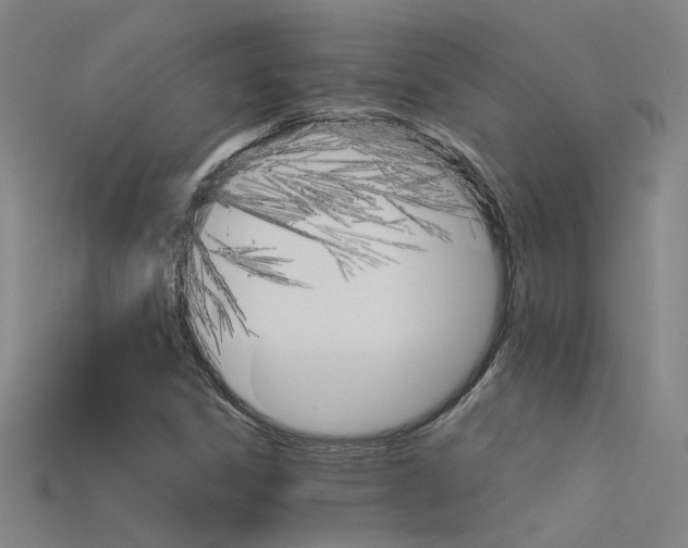 X0000115801306200911131014