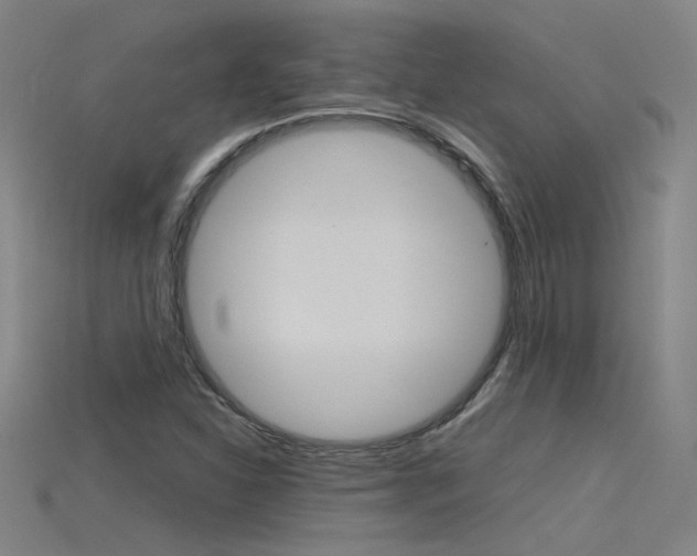 X0000115801310200911131014