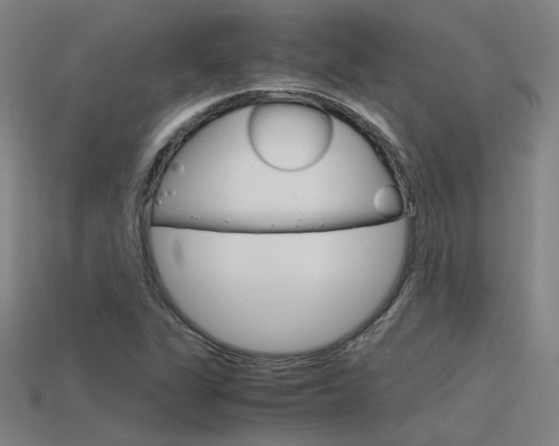 X0000115801311200911131014