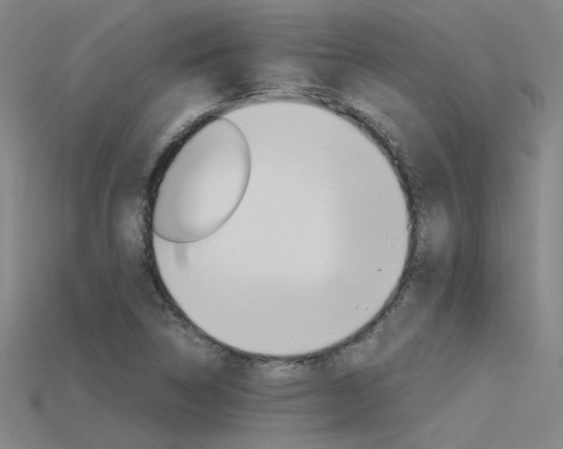 X0000115801314200911131014