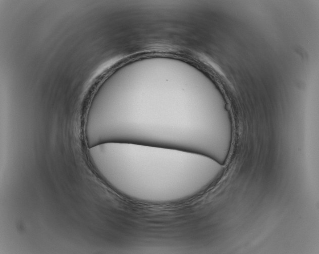 X0000115801315200911131014