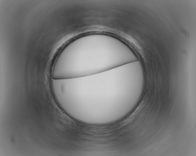 X0000115801318200911131014