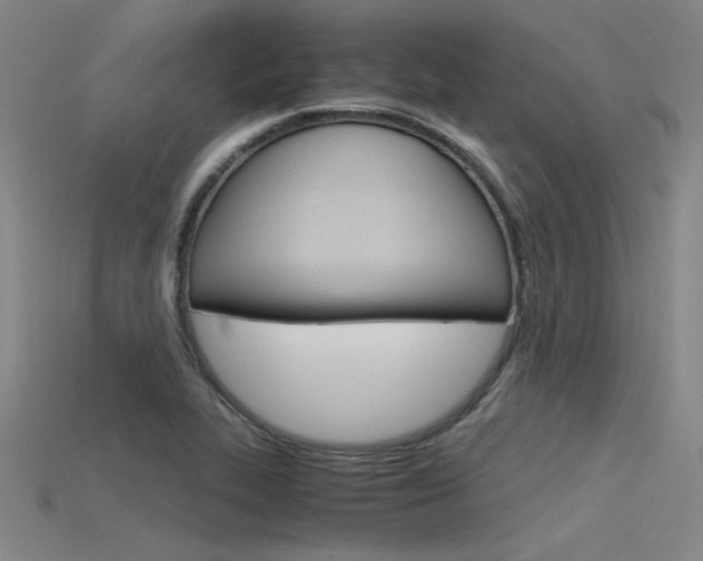 X0000115801319200911131014