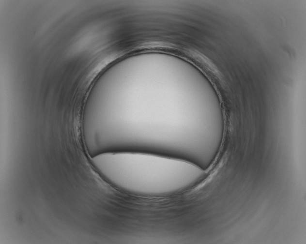 X0000115801321200911131014