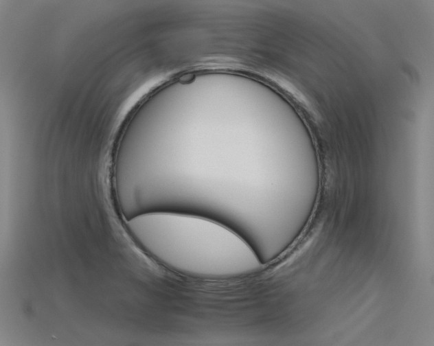 X0000115801325200911131014