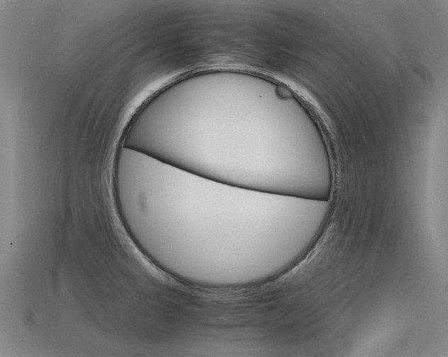 X0000115801333200911131014