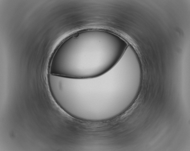 X0000115801334200911131014