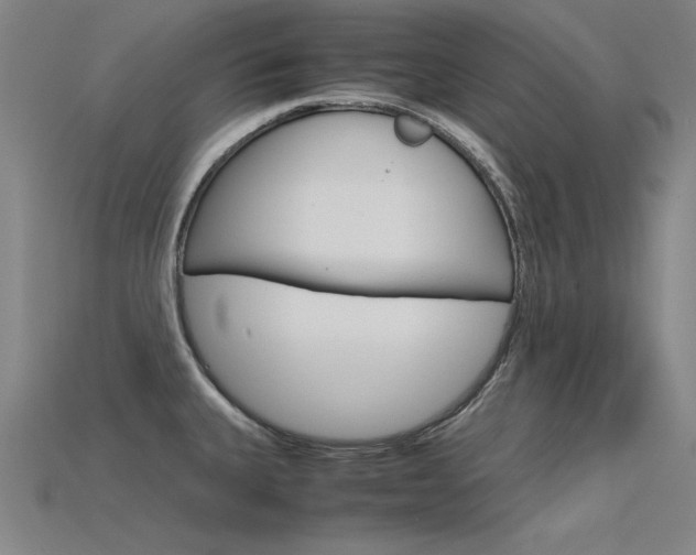 X0000115801335200911131014