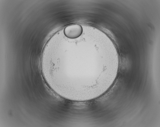 X0000115801338200911131014
