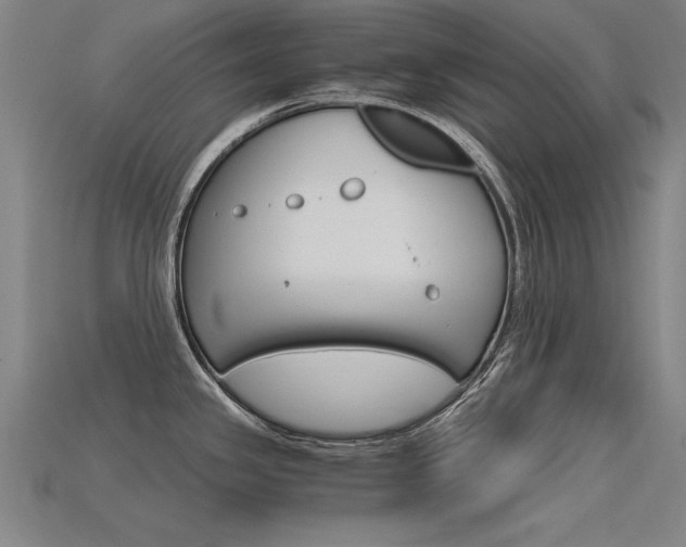 X0000115801341200911131014