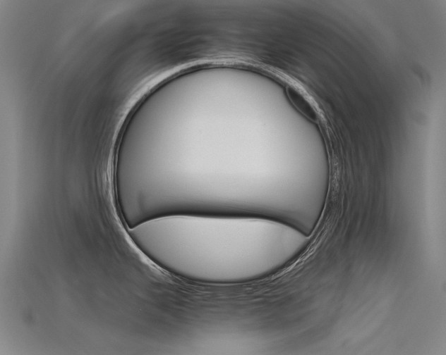 X0000115801343200911131014