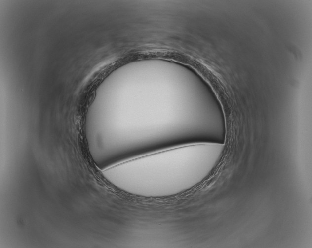 X0000115801351200911131014