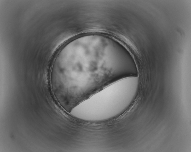 X0000115801356200911131014