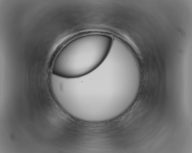 X0000115801360200911131014