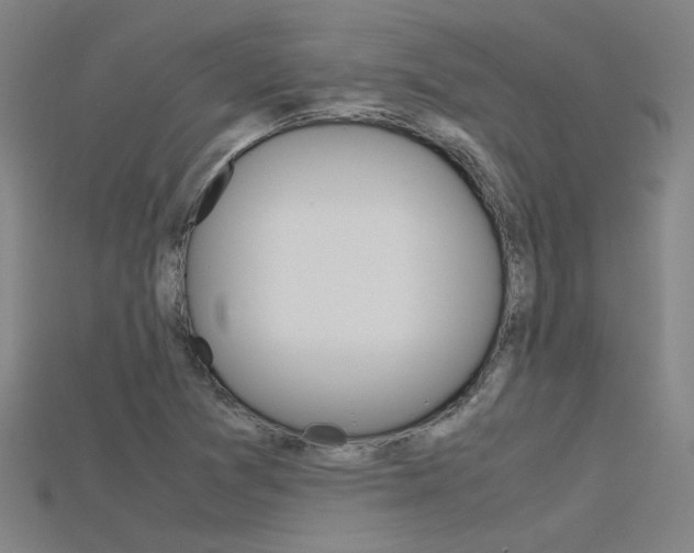 X0000115801361200911131014