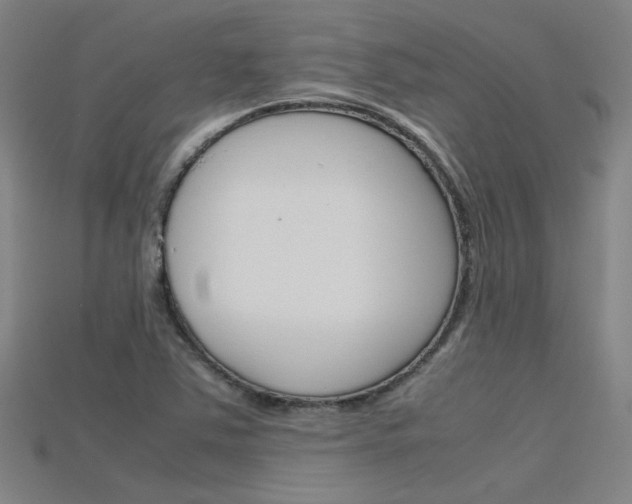 X0000115801363200911131014