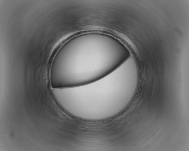 X0000115801364200911131013
