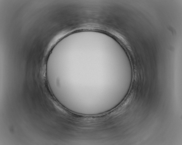 X0000115801366200911131013