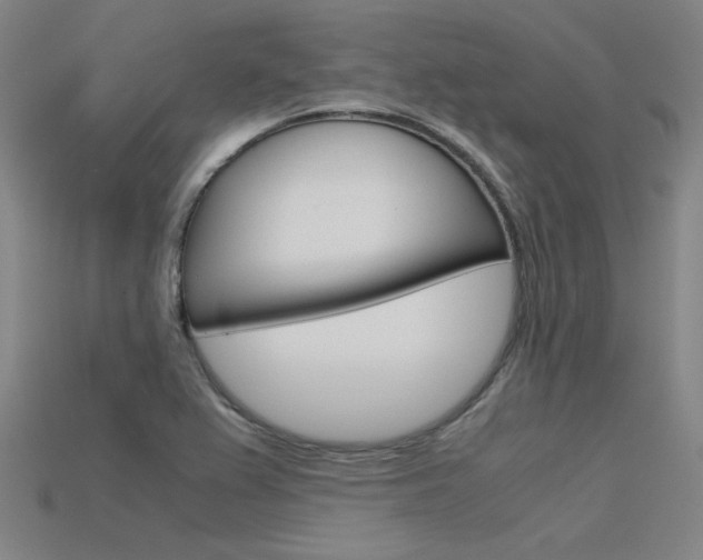 X0000115801367200911131013