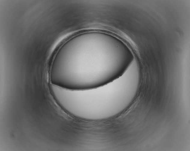 X0000115801368200911131013