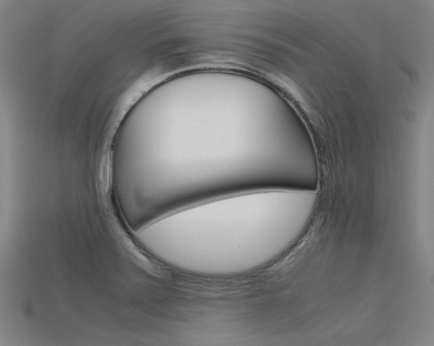 X0000115801371200911131013