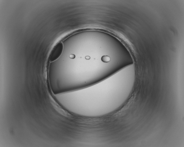 X0000115801372200911131013