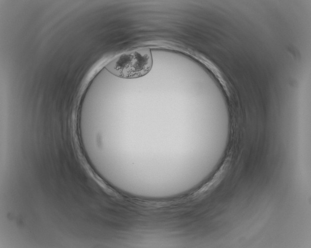 X0000115801373200911131013