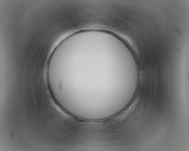 X0000115801374200911131013