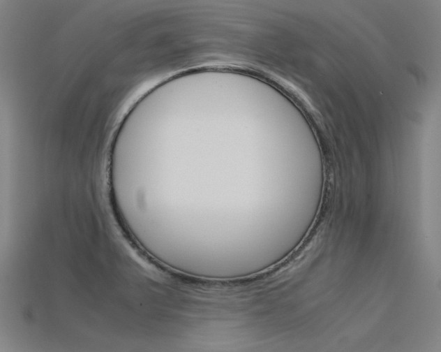 X0000115801375200911131013