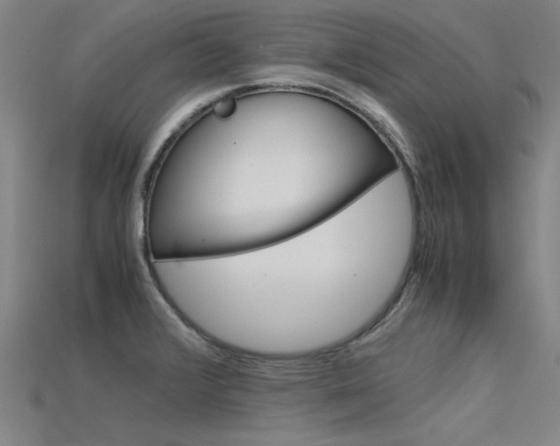 X0000115801376200911131013
