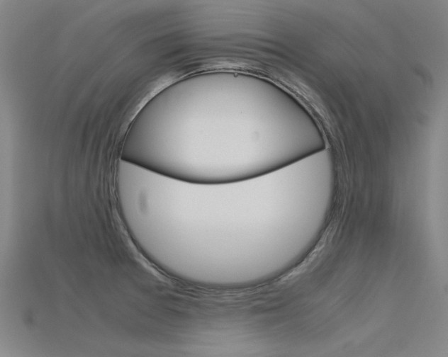 X0000115801377200911131013