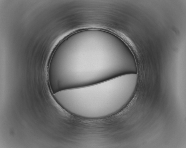 X0000115801380200911131013