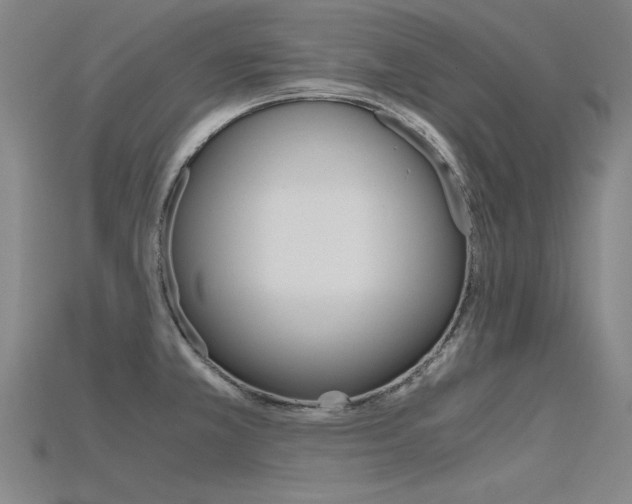 X0000115801381200911131013
