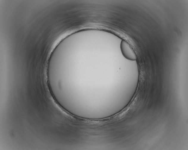 X0000115801382200911131013