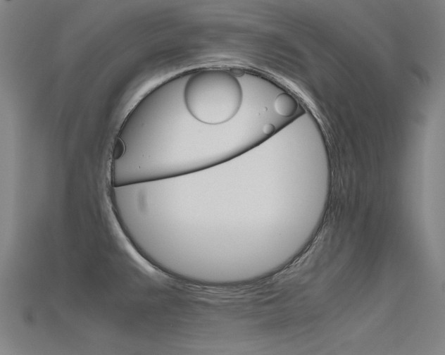 X0000115801383200911131013