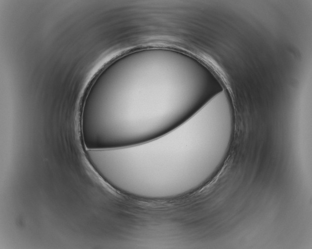X0000115801384200911131013