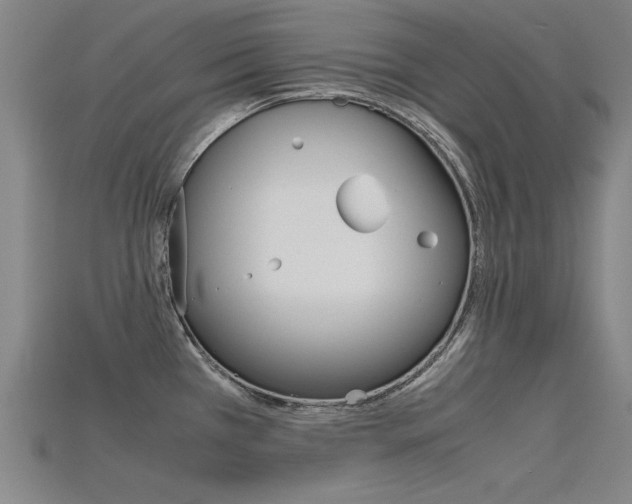 X0000115801385200911131013
