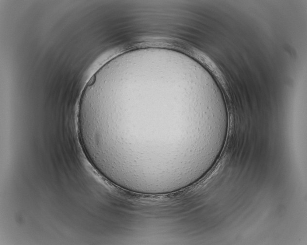 X0000115801386200911131013