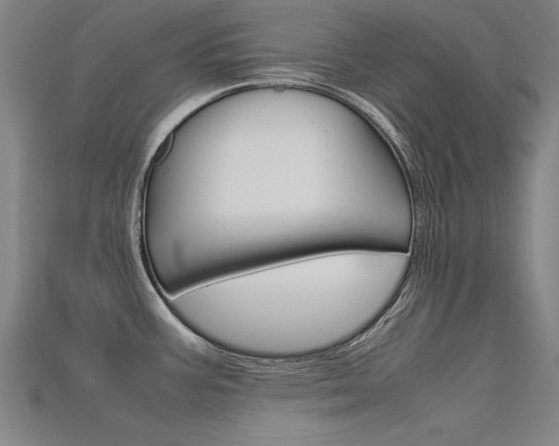 X0000115801387200911131013