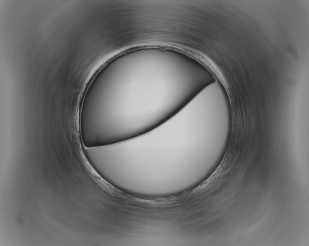 X0000115801388200911131013
