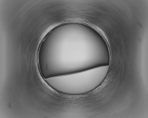 X0000115801389200911131013
