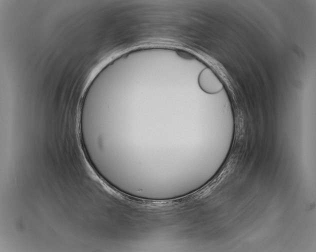 X0000115801390200911131013