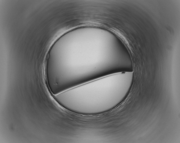 X0000115801391200911131013