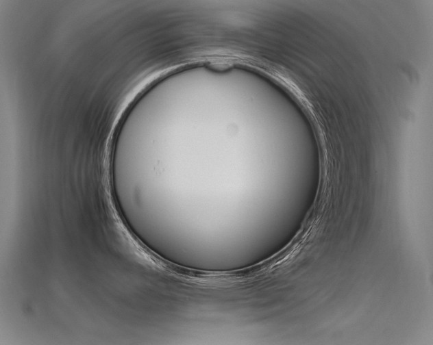 X0000115801392200911131013