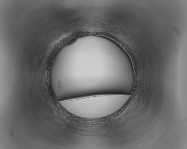 X0000115801398200911131013