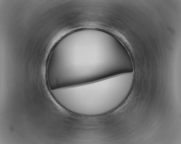 X0000115801424200911131013