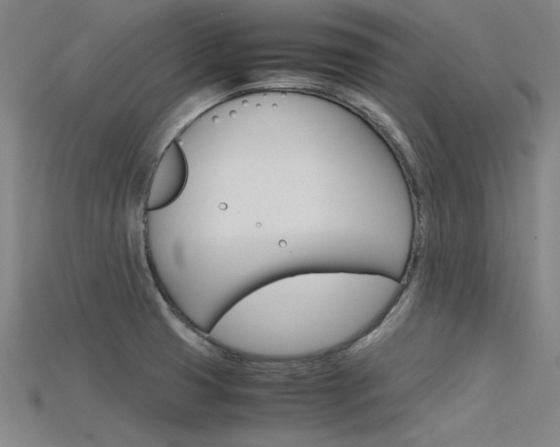 X0000115801425200911131013